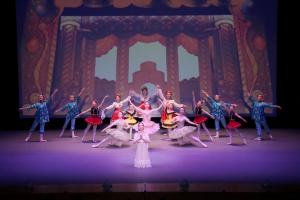 川島ナナバレエ研究所 画像2枚目